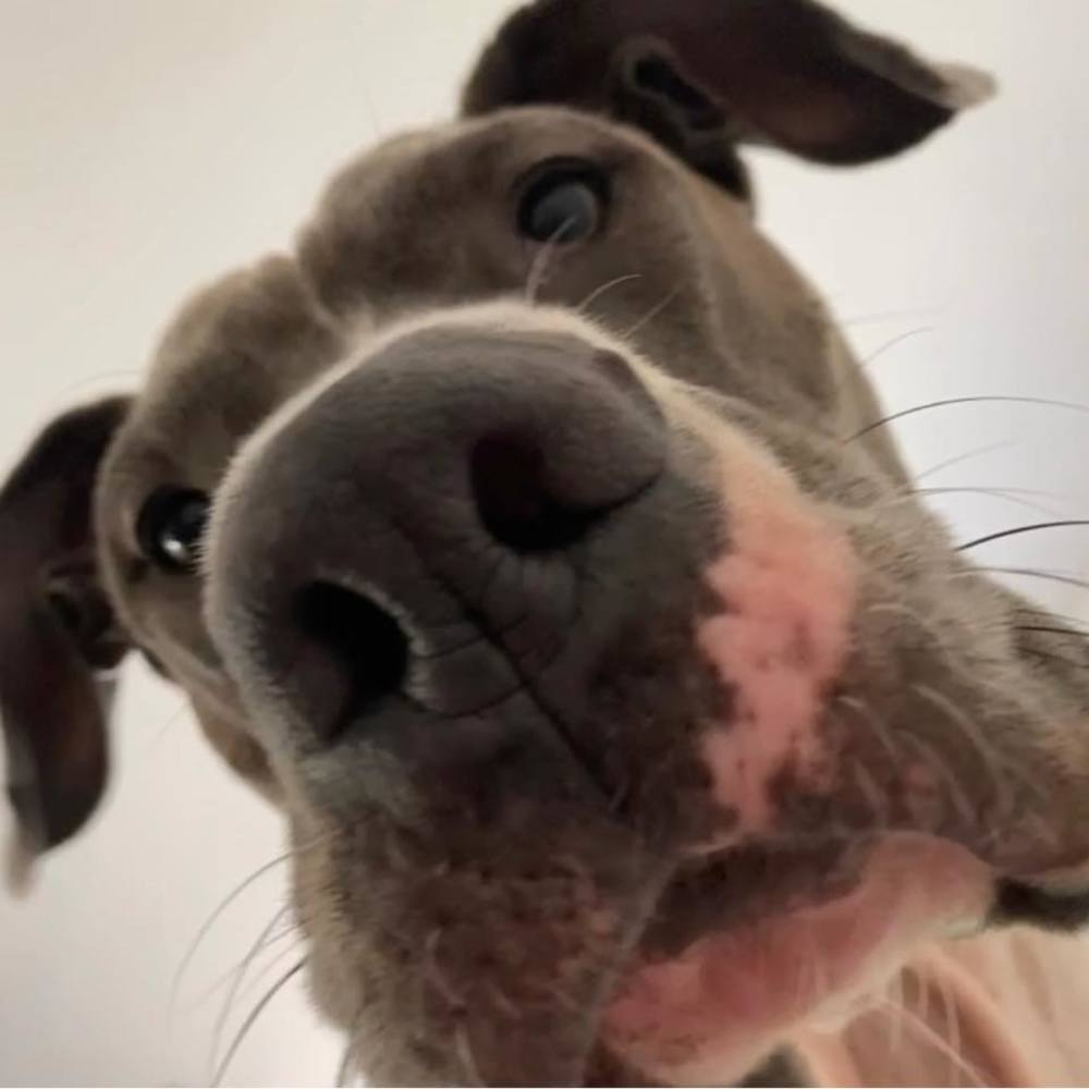 Meet your Posher, Krystal